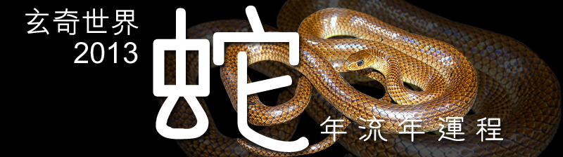 2013蛇年生肖運程